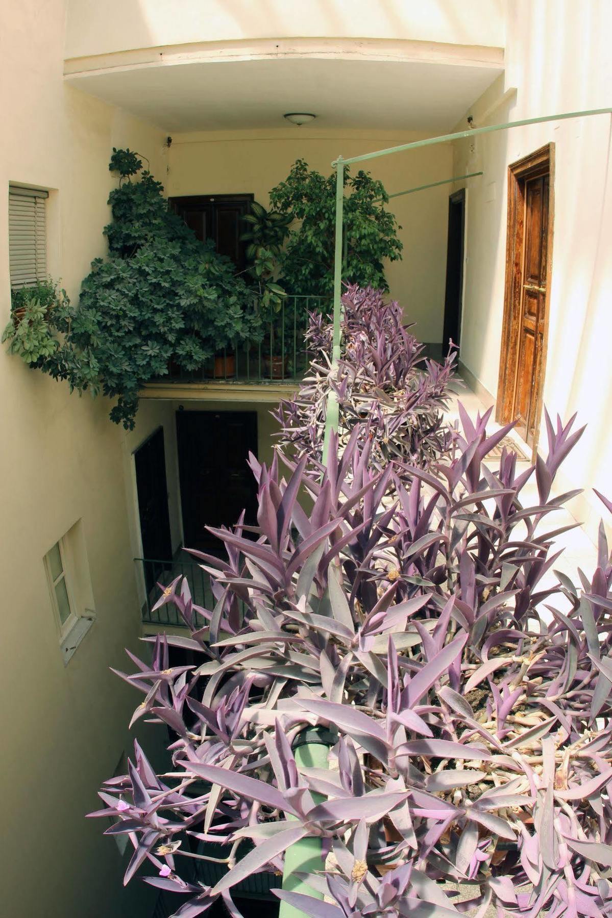 Guest house Ancient Romance